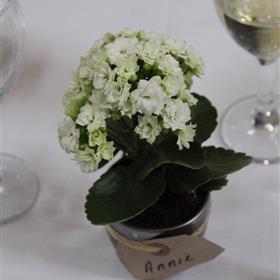 fwthumbHM june wedding 15 .jpg